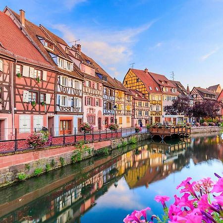 Appartement Avec Terrasse Entre Vignes, Balades, Alsace Guebwiller Esterno foto