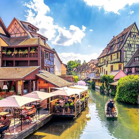 Appartement Avec Terrasse Entre Vignes, Balades, Alsace Guebwiller Esterno foto