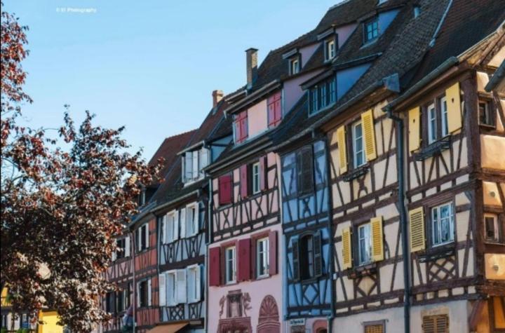 Appartement Avec Terrasse Entre Vignes, Balades, Alsace Guebwiller Esterno foto