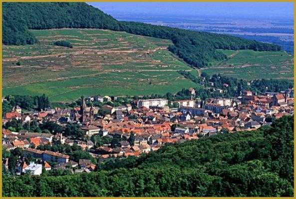 Appartement Avec Terrasse Entre Vignes, Balades, Alsace Guebwiller Esterno foto