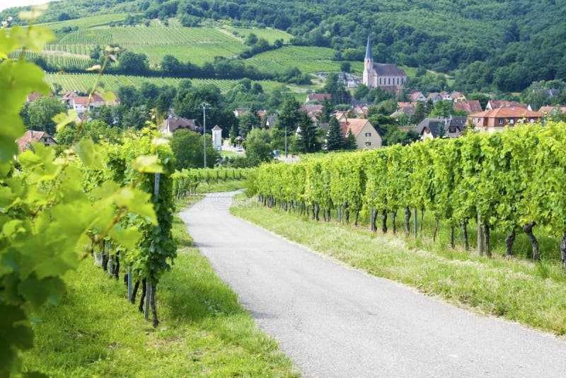 Appartement Avec Terrasse Entre Vignes, Balades, Alsace Guebwiller Esterno foto